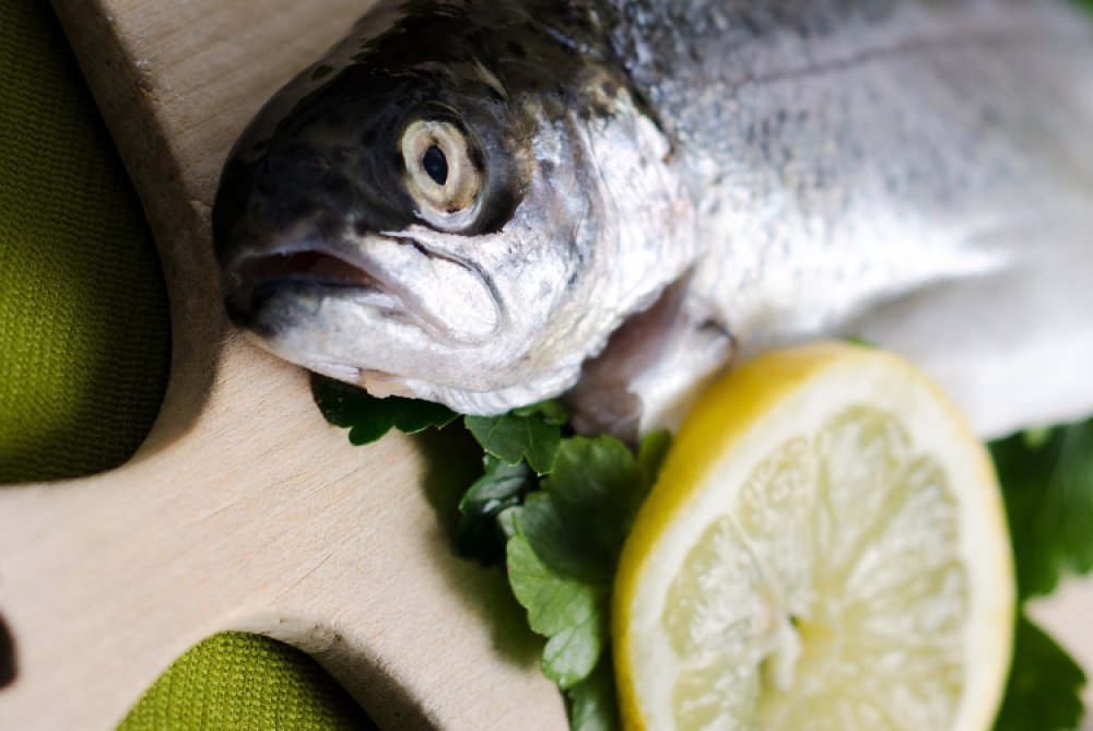 Dondurulmuş Karadeniz Alabalığı