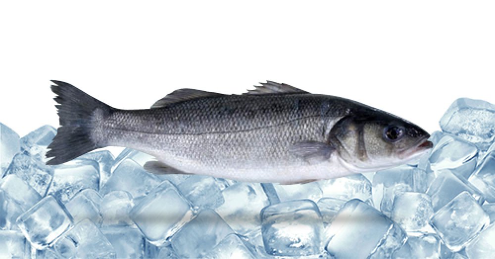 Dondurulmuş Ürünler