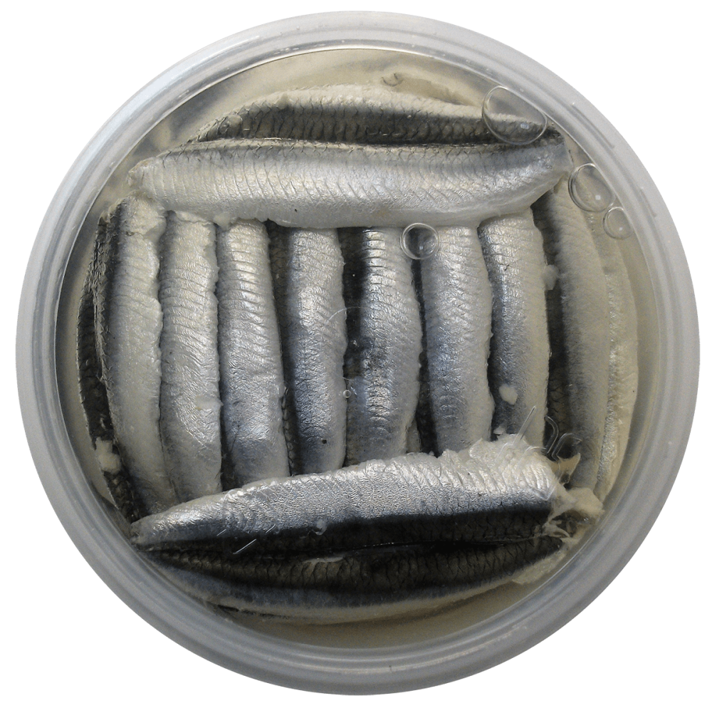 Naturel Hamsi Balığı Filetosu