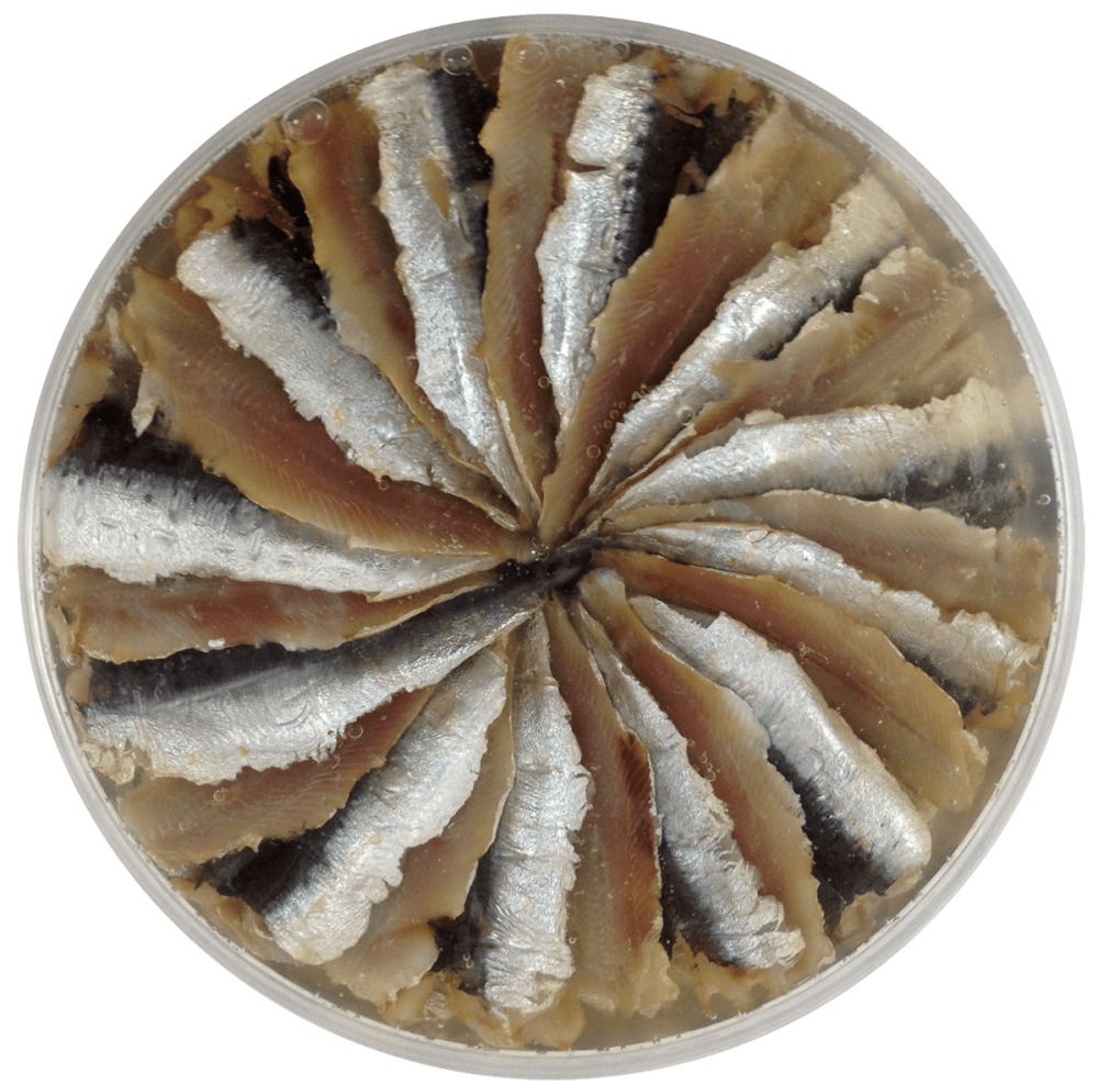 Soğuk Füme Sardalya Balığı Filetosu