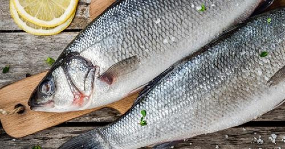 Taze Soğutulmuş Ürünler